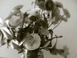 Bouquet – A Victorian Passage